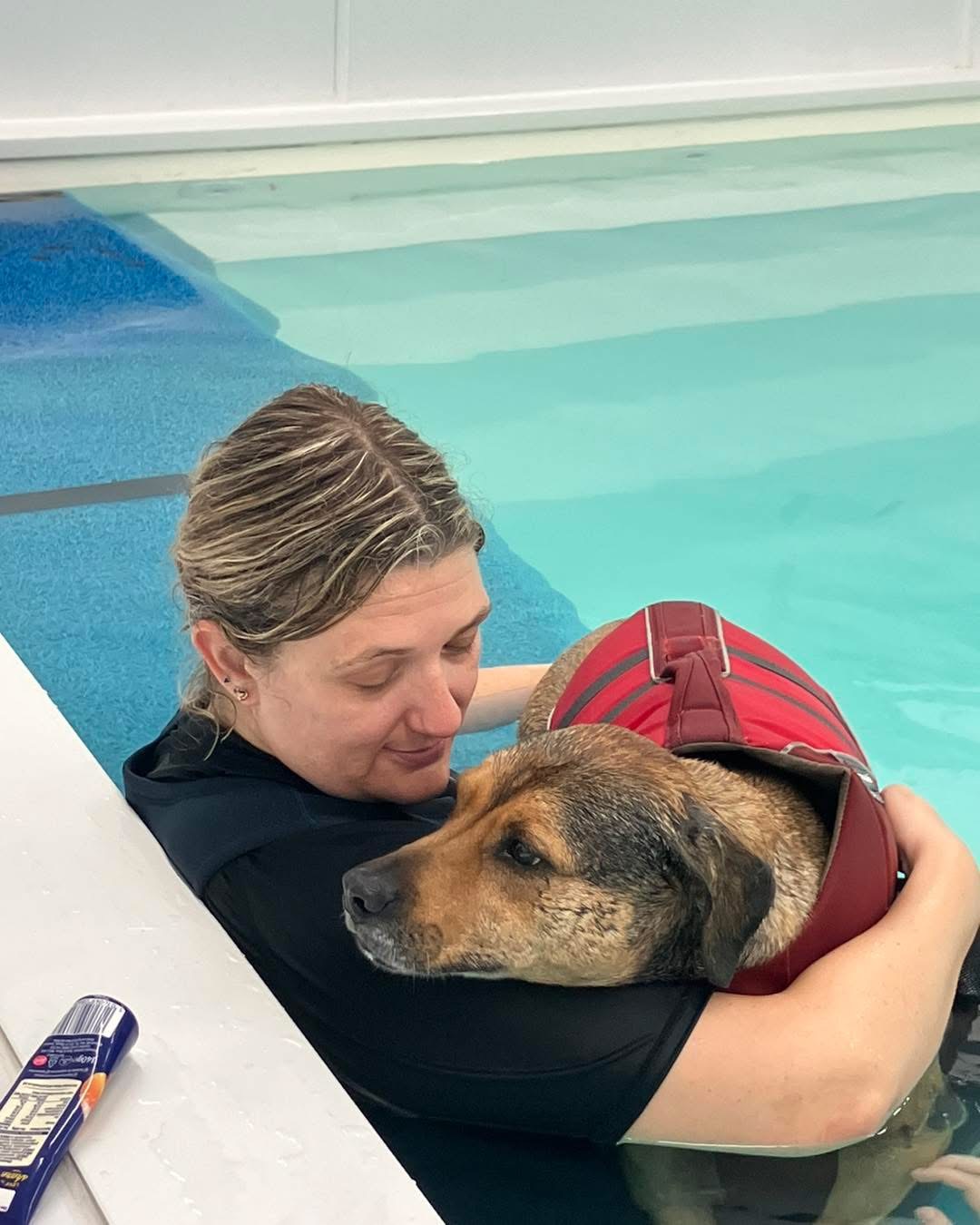 Dog Hydrotherapy Dog Hydrotherapy